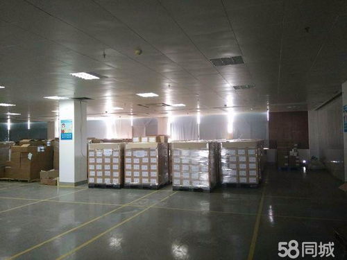 广州食品恒温仓 10-20度专业仓储，支持小面积分租，助力企业灵活运营